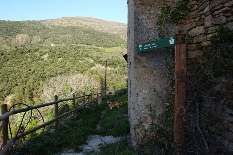 a green sign on the side of a building shows the way