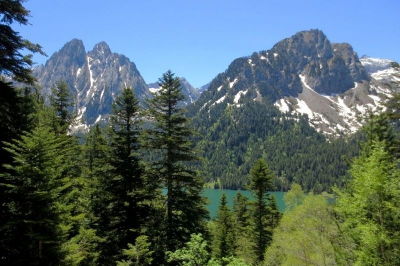 las montañas están cubiertas de nieve y hay un lago en medio del bosque