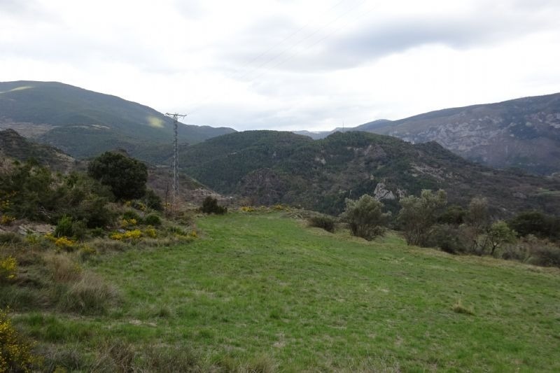 a grassy hillside with mountains in the background