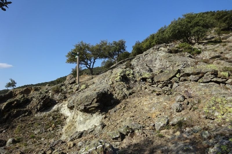 a rocky hillside with trees and a sign that says ' a ' on it