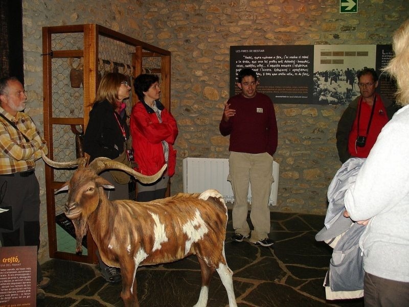 a group of people standing around a stuffed goat with a sign that says crepigs