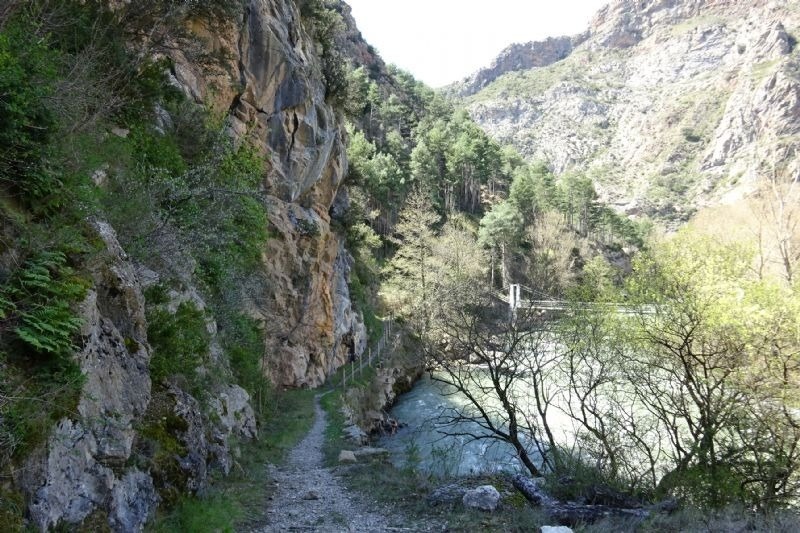 un sendero a lo largo de una pared de roca junto a un río