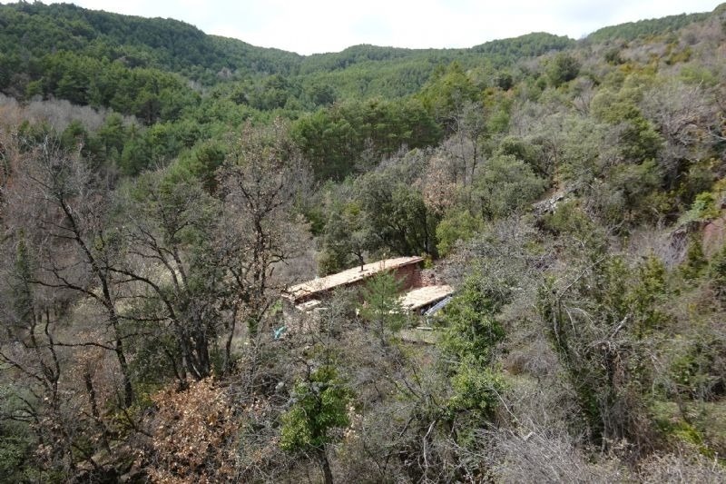una casa en una vall rodejada d' arbres