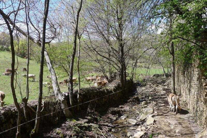 a fenced in area with a stream running through it