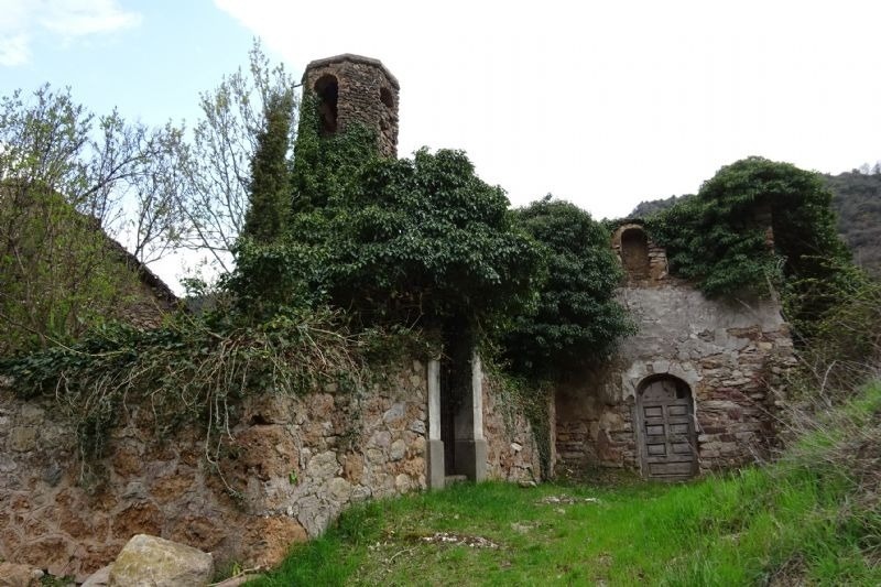 un antic edifici de pedra cobert d' arbres i arbustos