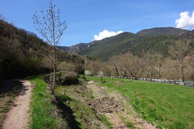 un camino de tierra conduce a un campo verde con montañas en el fondo