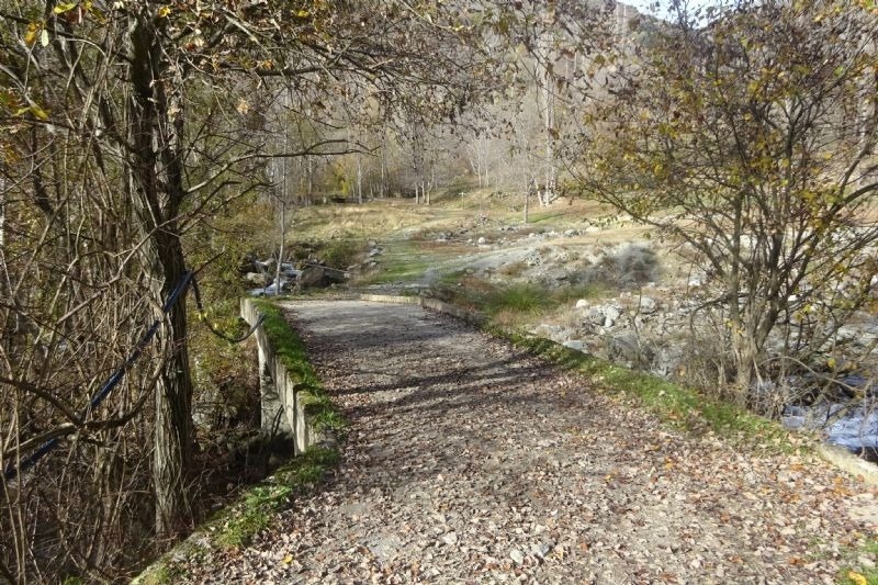 un camí a través d' un bonic entorn d' arbres i rocas