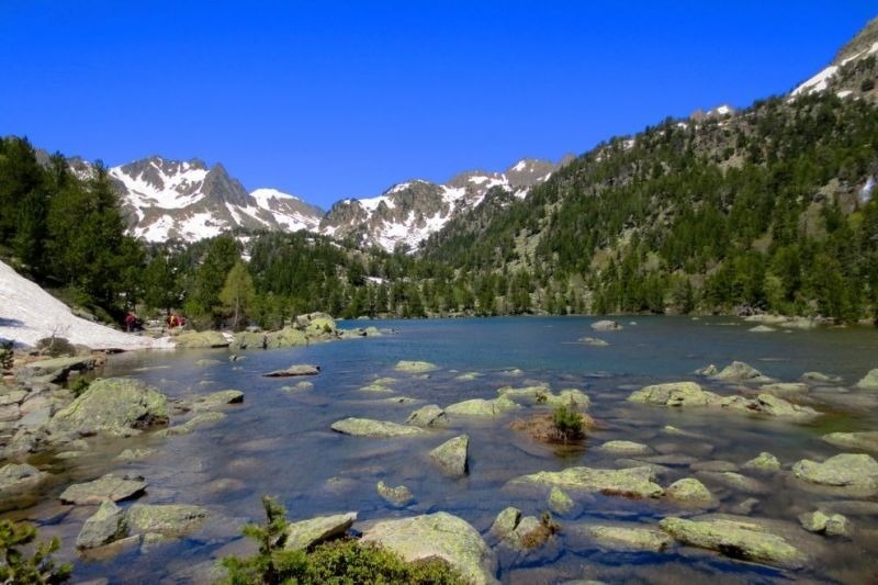 un lago rodeado de montañas cubiertas de nieve y árboles