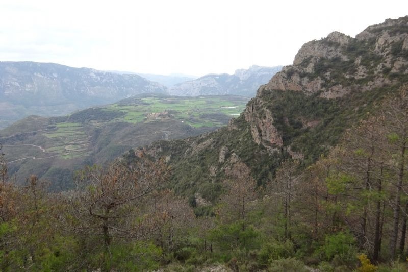 a view of a valley with trees and mountains in the background