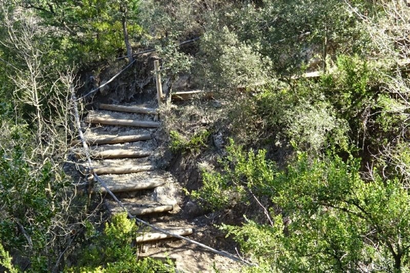 escaleras de madera que conducen a la cima de una colina
