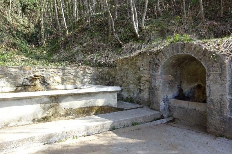 una font de pedra a l' interior d' un bosc