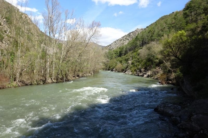 un riu flueix a través d' un paisatge d' arbres i rocas
