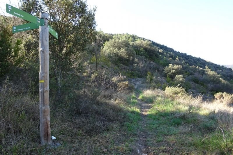 un poste de madera con dos señales verdes y una amarilla