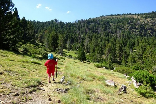 un niño camina por un sendero a través de un bosque