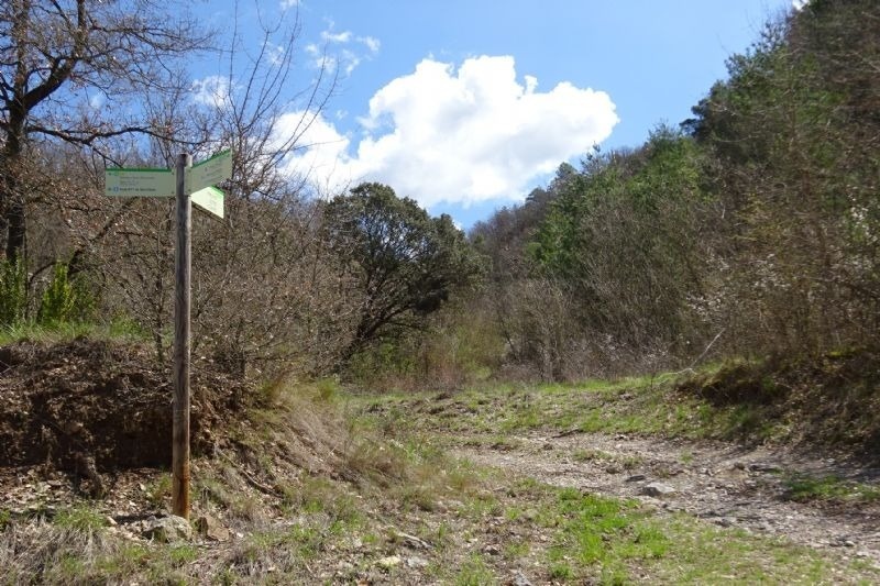un poste de madera con una señal de sendero en la parte superior
