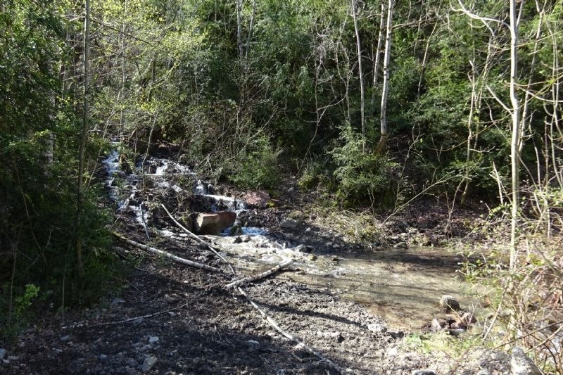 una pequeña cascada en el medio de un bosque