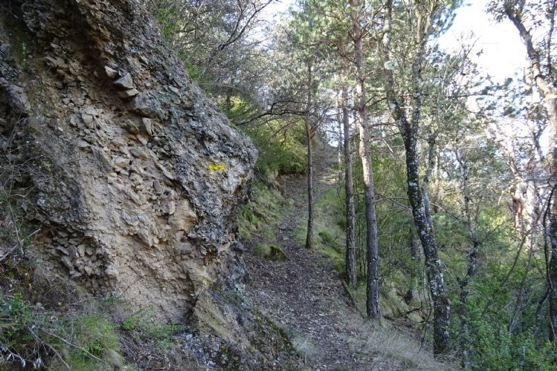 un camino a través de un bosque con una señal amarilla en la roca