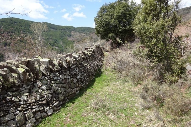 un mur de roca a la ladera de una montagna