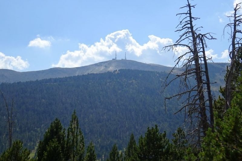 una vista de la montagna a través dels arbres