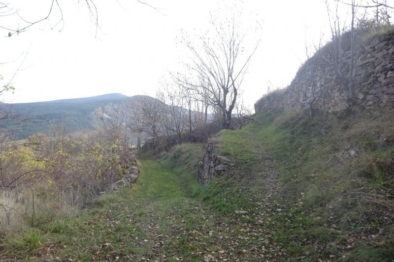 un arbre s'hi troba a l' esquerra d' un sender