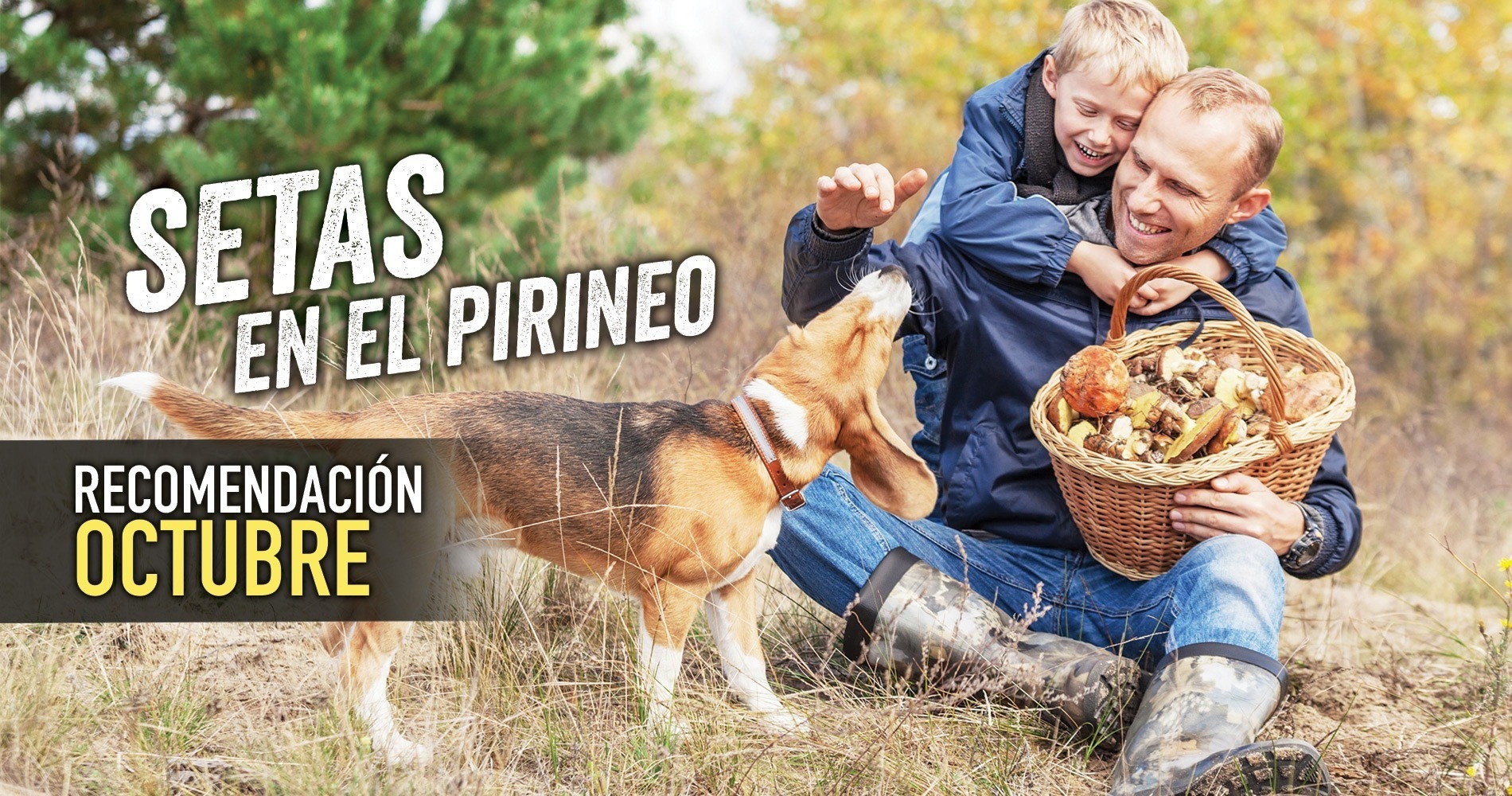 un père et son fils cueillent des champignons avec leur chien