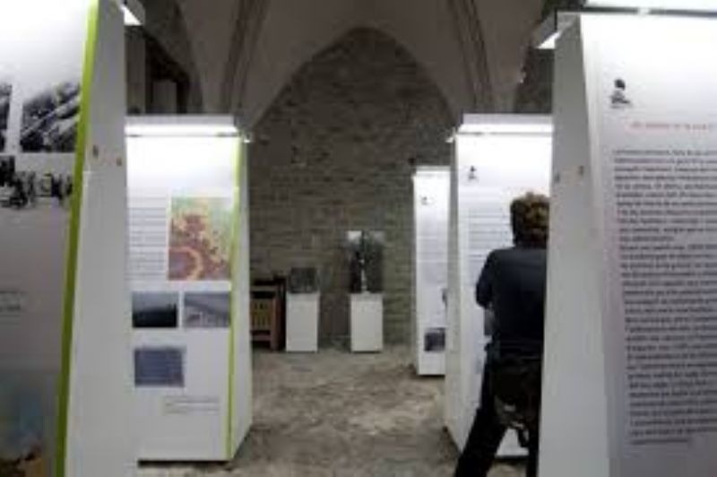 un home està mirant una exposició en un museu .