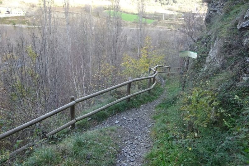 un camí de bosc amb una cerca de fusta a l' esquerra