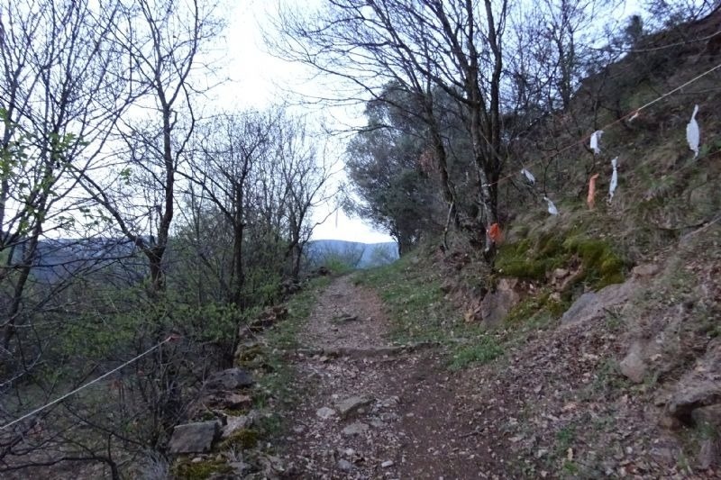 un sender a través d' un bonic envoltat d' arbres i rocas