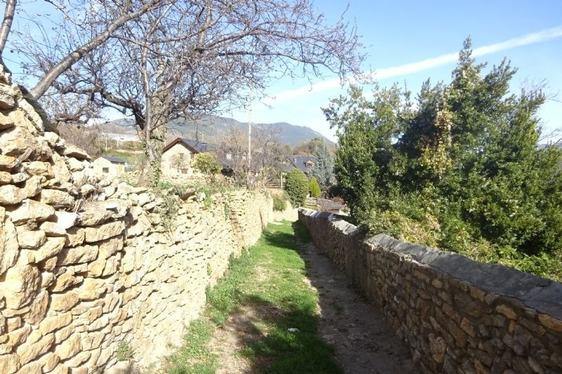 un camí de pedra a través d' un bosc