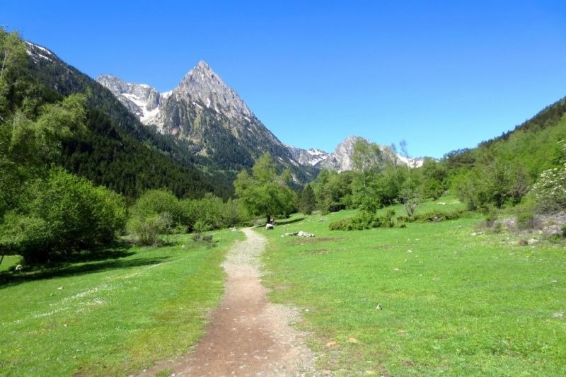 un camino a través de un campo verde con montañas en el fondo