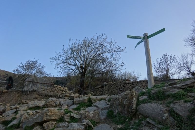 a wooden post with a green sign that says ' camino de la sierra ' on it