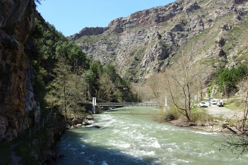un pont sobre un riu a l' aire lliure