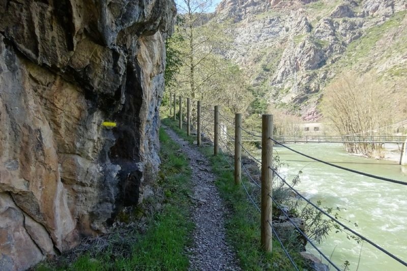 un sendero junto a un río con una flecha amarilla que señala el camino
