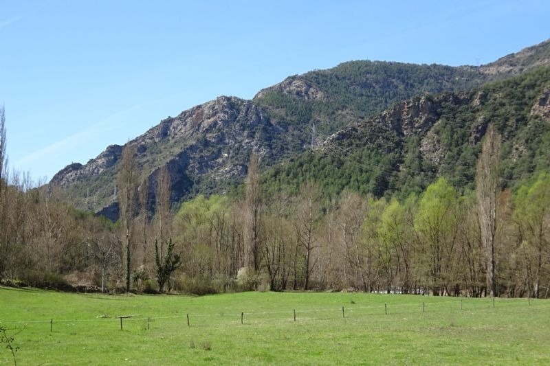un campo verde con árboles y montañas en el fondo