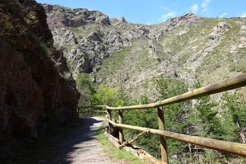 un camí de bosc amb una cerca de fusta a l' esquerra