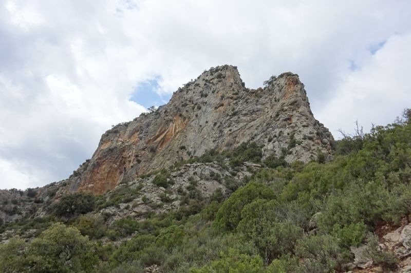 a mountain covered in trees with a cloudy sky in the background