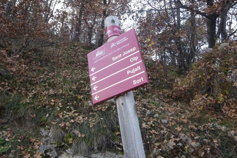un cartell a l' aire lliure que diu sant josep olp pujat sort