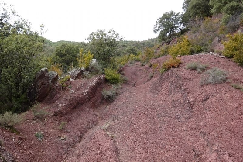 a rocky hillside with trees and bushes on it