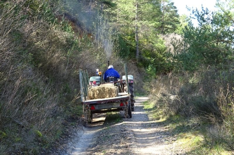 un hombre conduce un tractor con un remolque lleno de heno