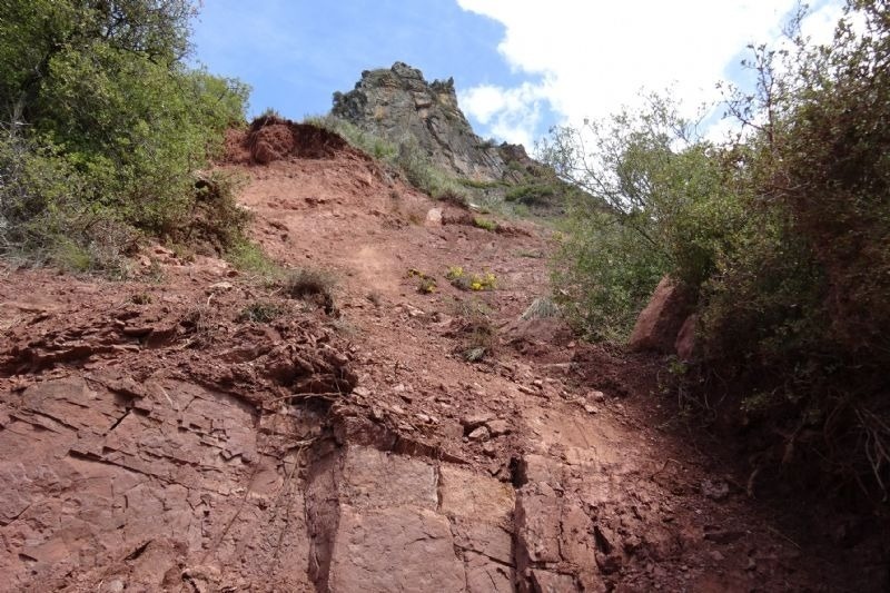 un montón de rocas rojas y arbustos en la ladera de una montaña