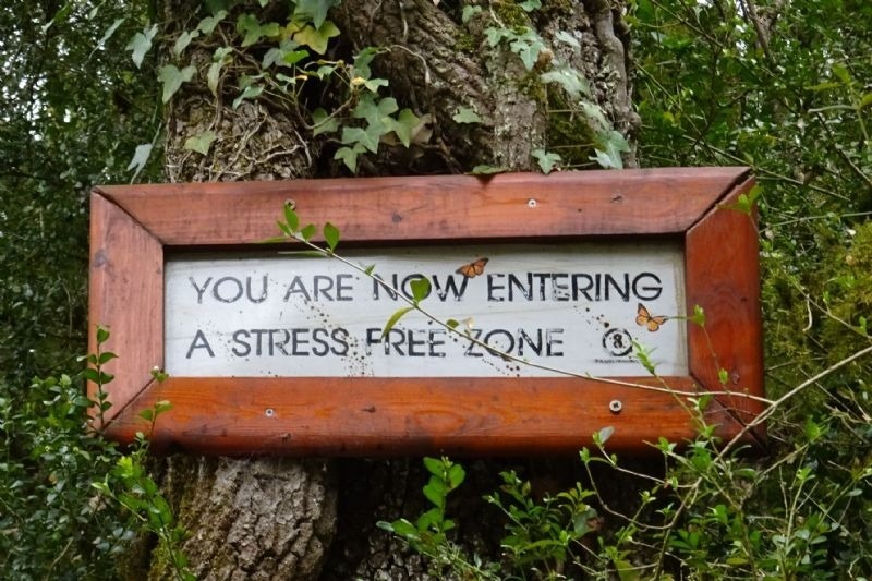 a sign that says you are now entering a stress free zone