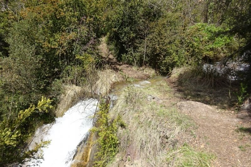a small waterfall in the middle of a forest