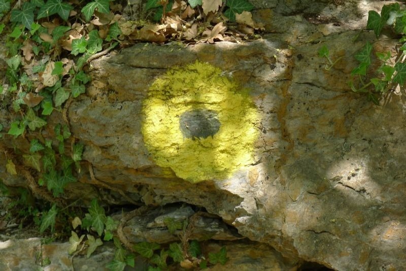 a rock with a yellow circle painted on it