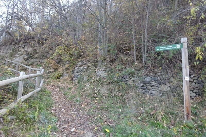un cartell a l' aire lliure a l' entorn d' un bosc