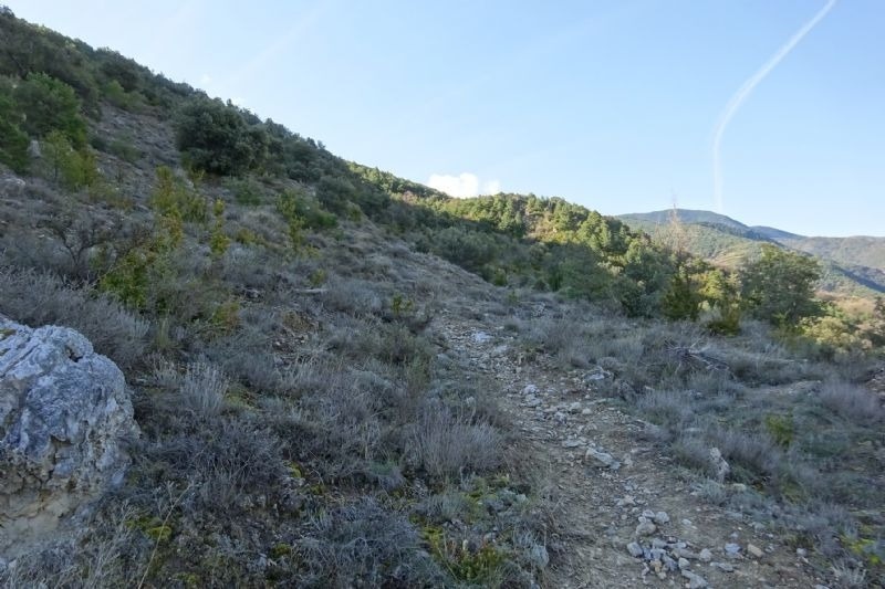 un camino de tierra que conduce a una montaña cubierta de hierba y árboles