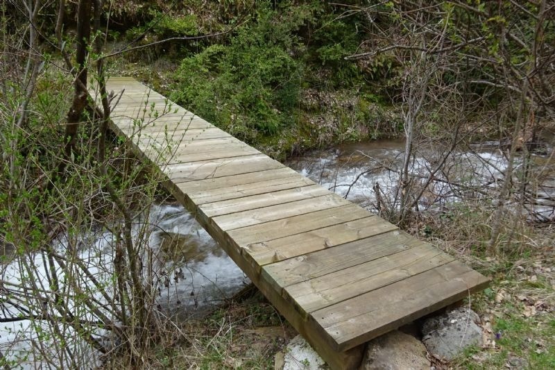 a wooden bridge over a stream in the woods