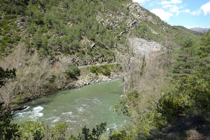 un río fluye a través de un valle rodeado de árboles y rocas
