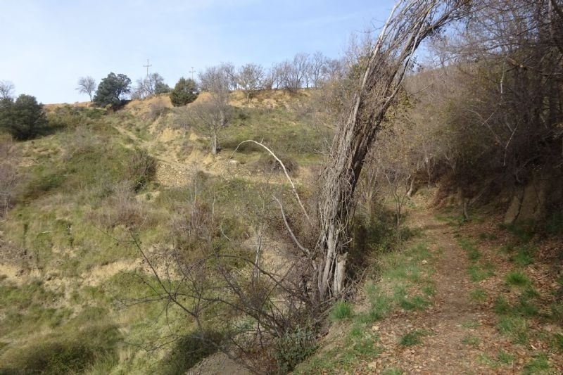 un camí que s'envolta en un bonic bosc