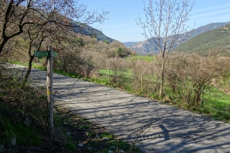 un poste de madera con una señal de sendero verde en él