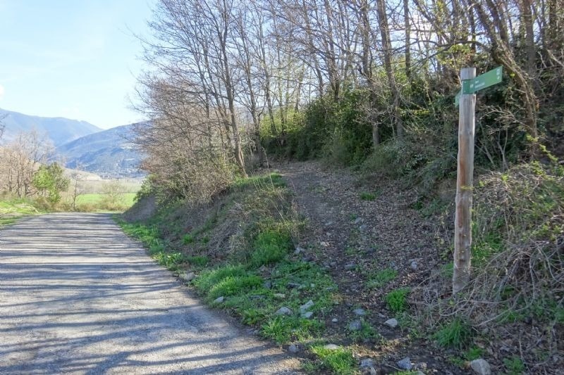 un poste de madera con una señal verde que dice " camino "